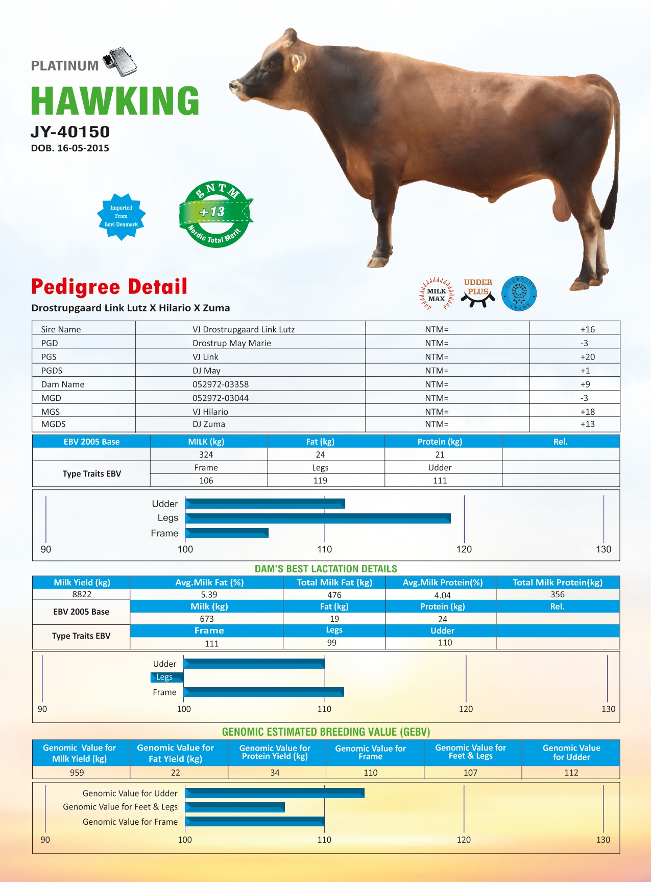 Pdfa hot sale jersey bull